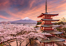 Japon