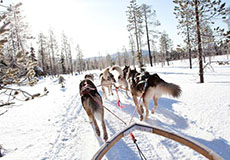 Finlande