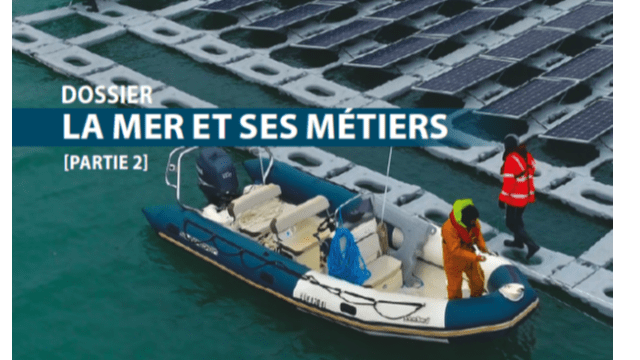 De quoi est constitué un dossier commun pour la revue Trimestrielle L'Hippocampe ?