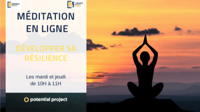 Méditation En Ligne Développer Sa Résilience Centrale Nantes Alumni