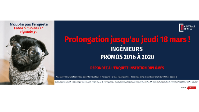 Prolongation jusqu'au 18 mars 2021 pour l'enquête insertion des diplômés ! 