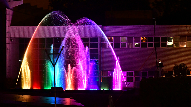 Revivez les exceptionnelles Journées du Centenaire !